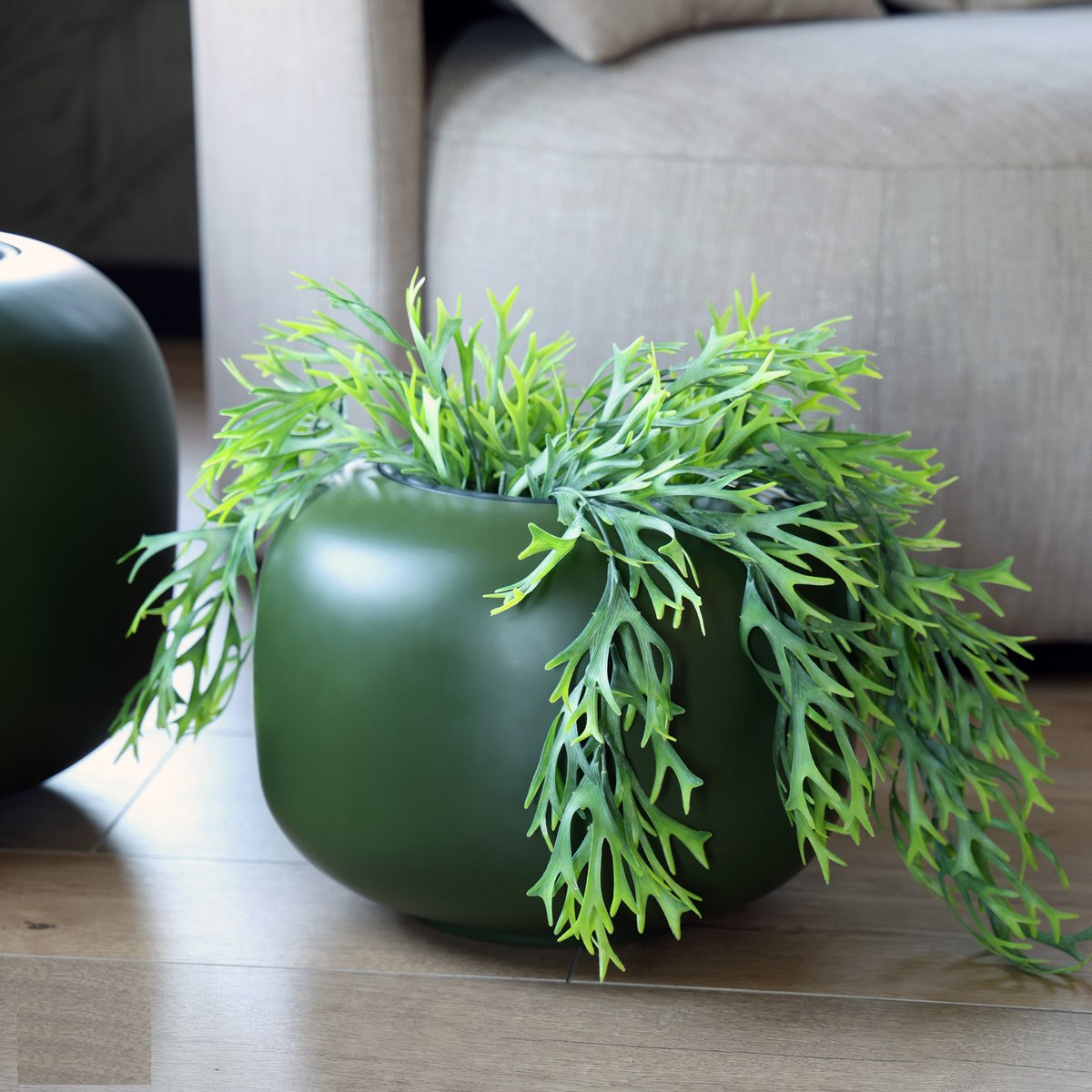 Binnenpotten & Plantenbakken
