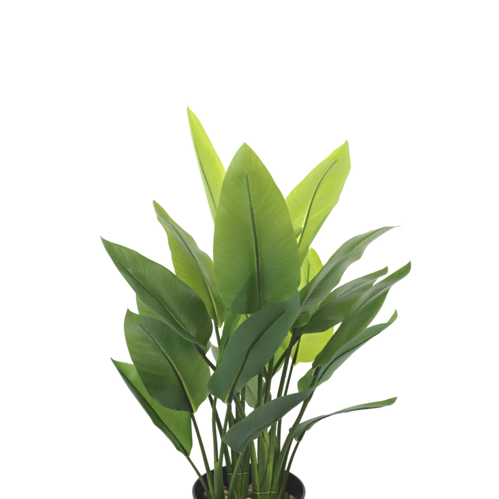 Strelitzia Kunstplant 70 cm, Groen (6 Bladeren)