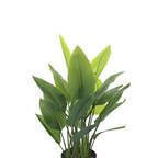 Strelitzia Kunstplant 70 cm, Groen (6 Bladeren)