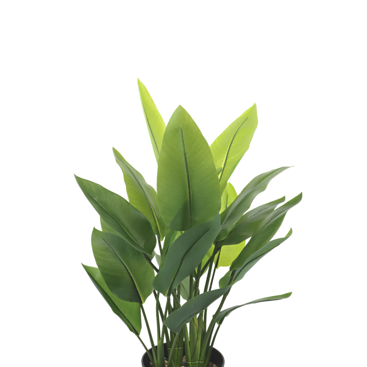 Strelitzia Kunstplant 70 cm, Groen (6 Bladeren)