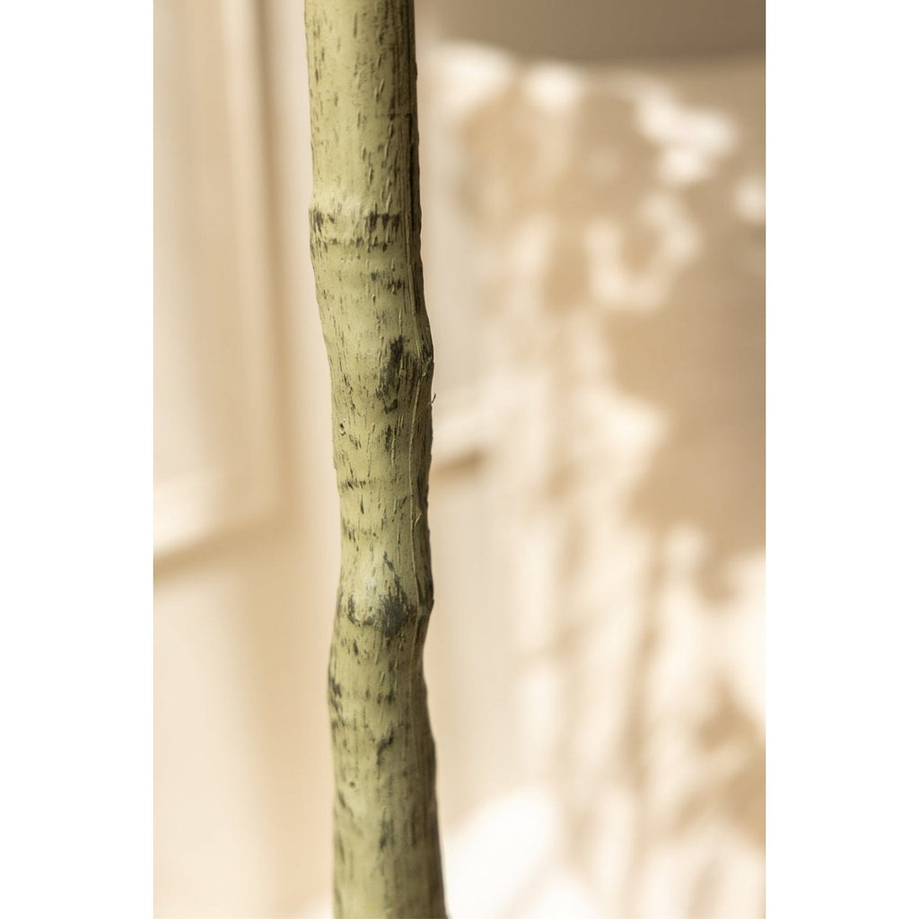 Eucalyptus Kunstboom 180 cm, Groen