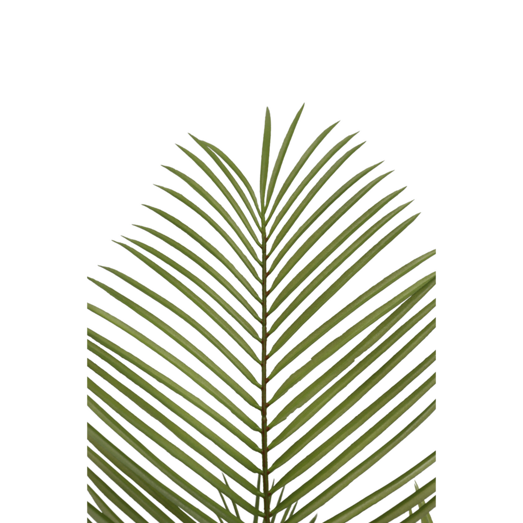 Kunstpalm 150 cm, Groen (22 Bladeren)
