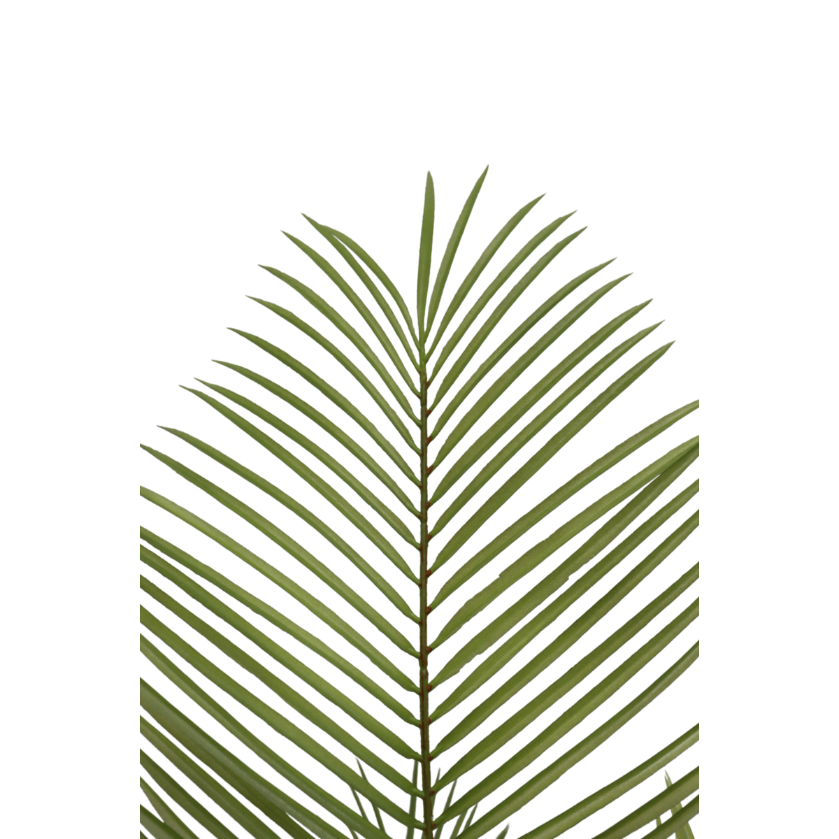Kunstpalm 150 cm, Groen (22 Bladeren)