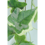 Hedera Kunst Hangplant 90 cm, Groen
