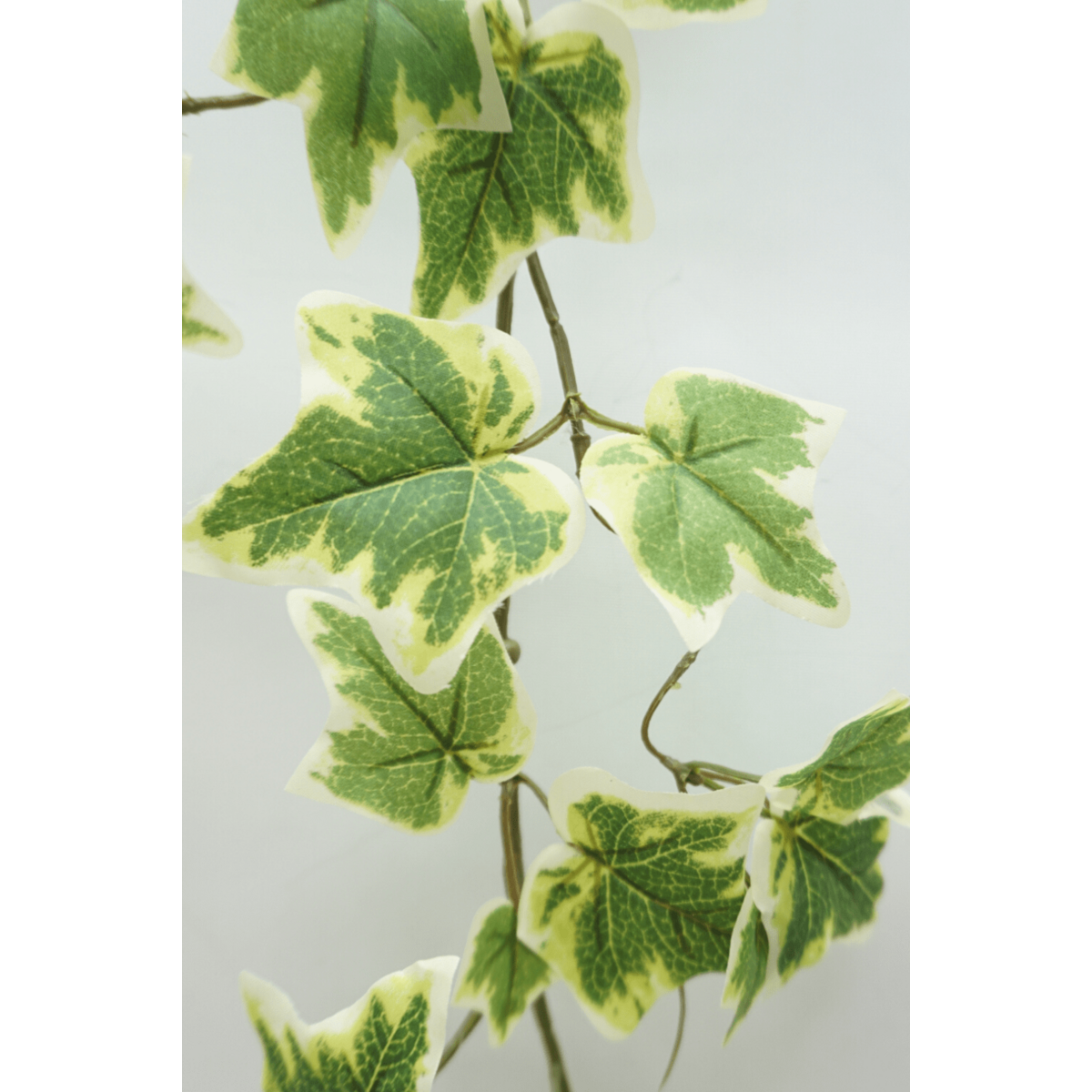 Hedera Kunstslinger 150 cm, Groen (Guirlande)