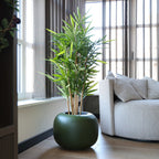 Plantenpot Phuket Green, Met Uitneembare Binnenpot, Ø34,5 x H26 cm /of/ Ø45,5 x H34,5 cm, Vase The World