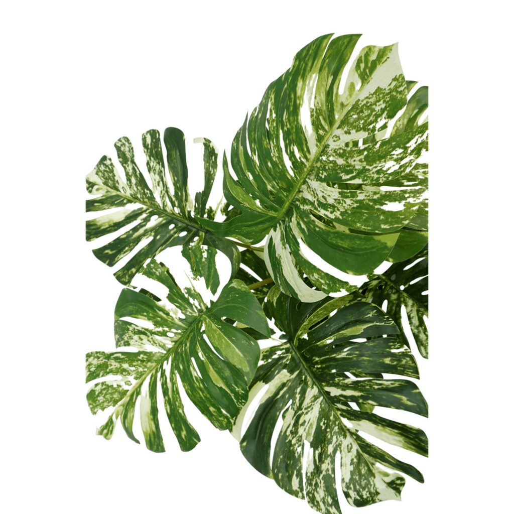 Monstera Kunstplant 75 cm, Groen