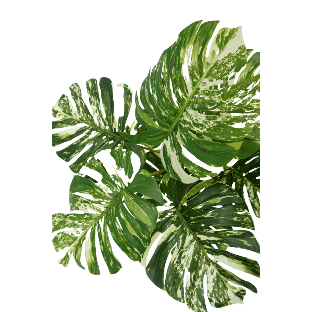 Monstera Kunstplant 75 cm, Groen