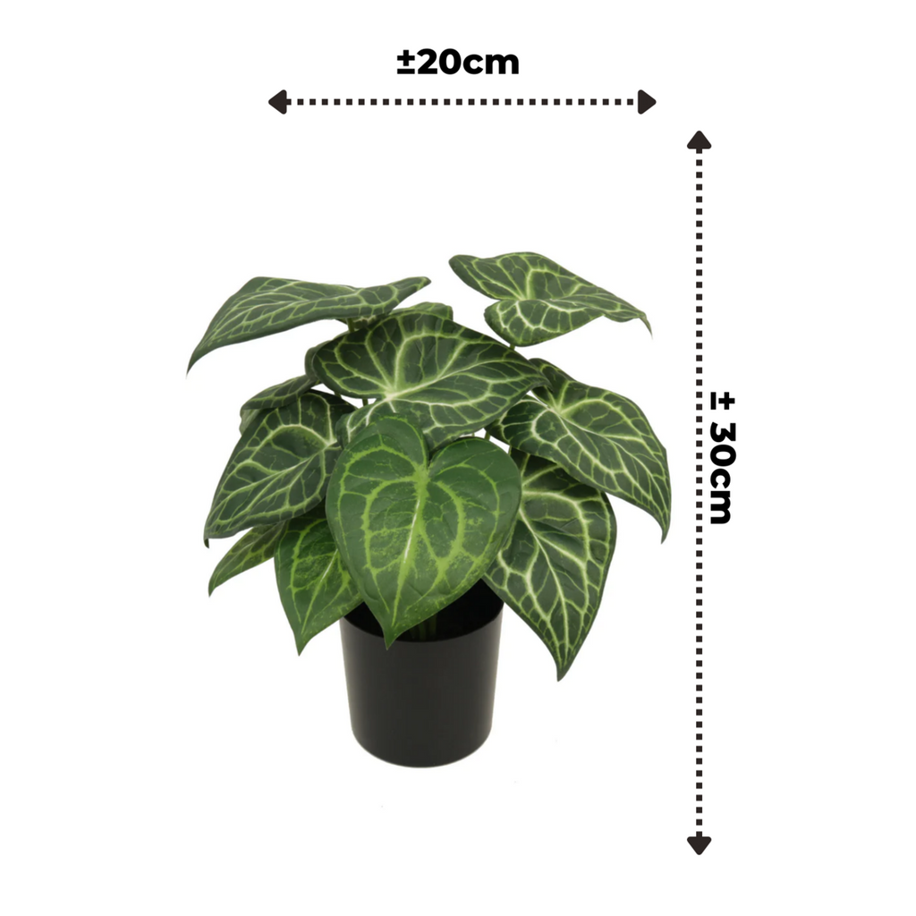 Syngonium Kunstplant 30 cm, Groen