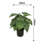 Syngonium Kunstplant 30 cm, Groen