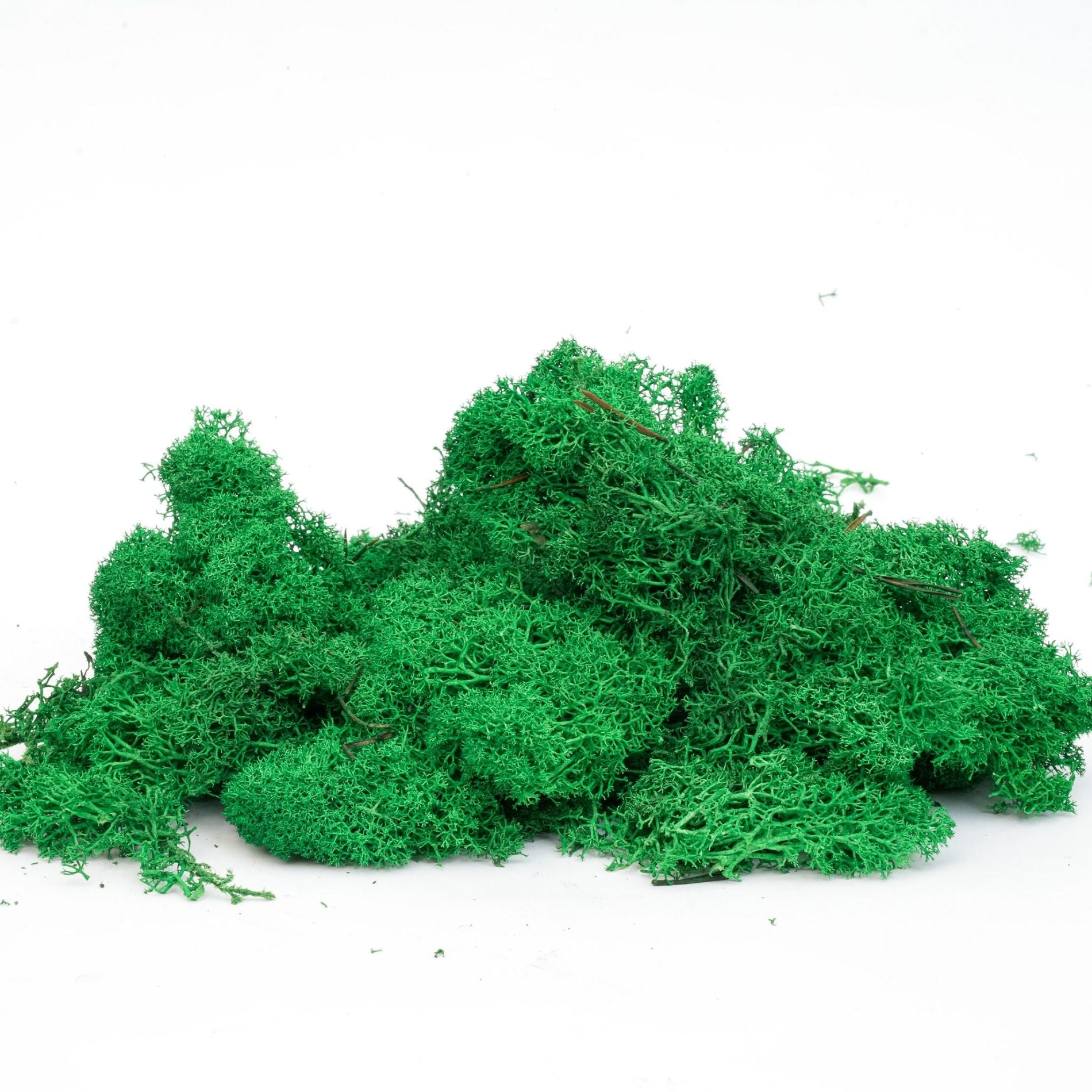 Decorative Reindeer Moss - Dark Green - 1 Bag - 50G