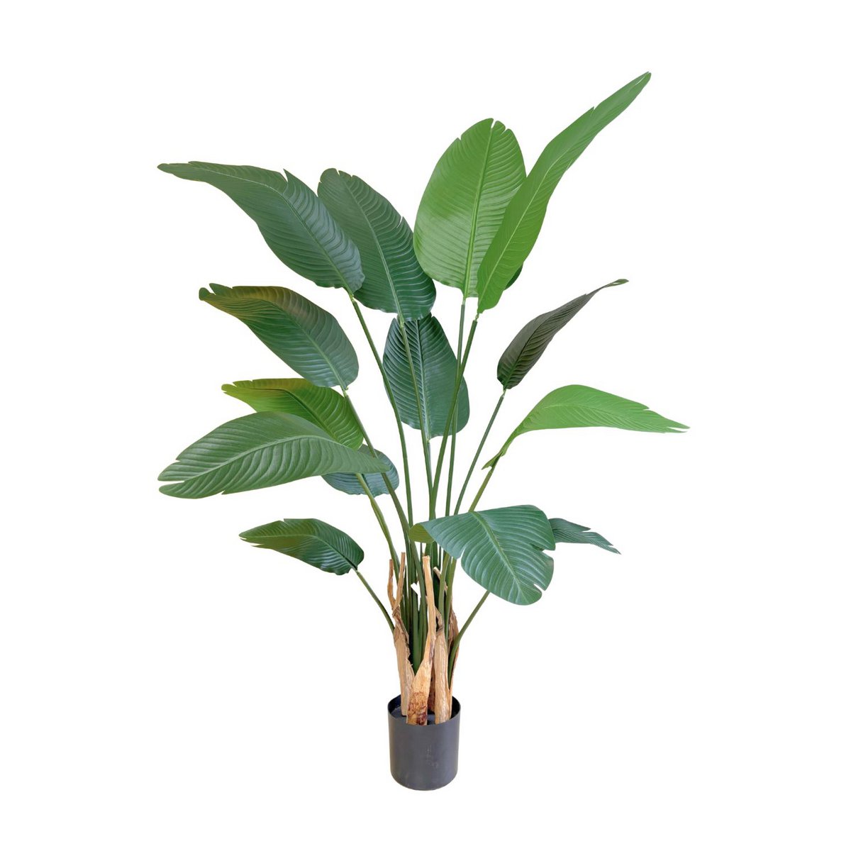 Strelitzia Kunstplant 160 cm, Groen