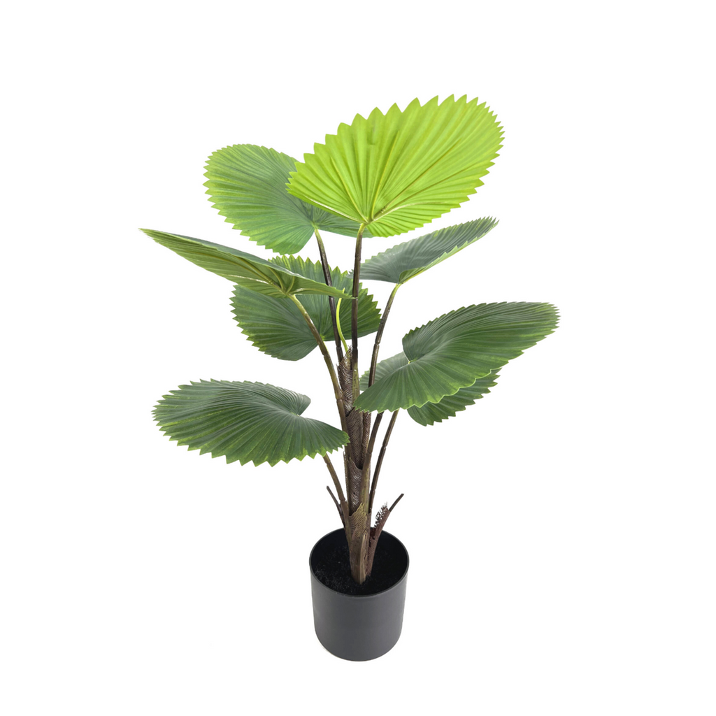 Kunst Waaierpalm 75 cm, Groen