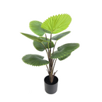 Kunst Waaierpalm 75 cm, Groen