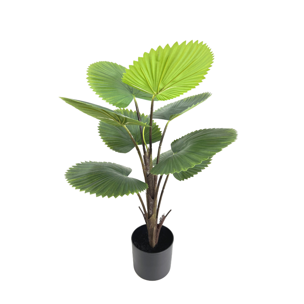 Kunst Waaierpalm 75 cm, Groen