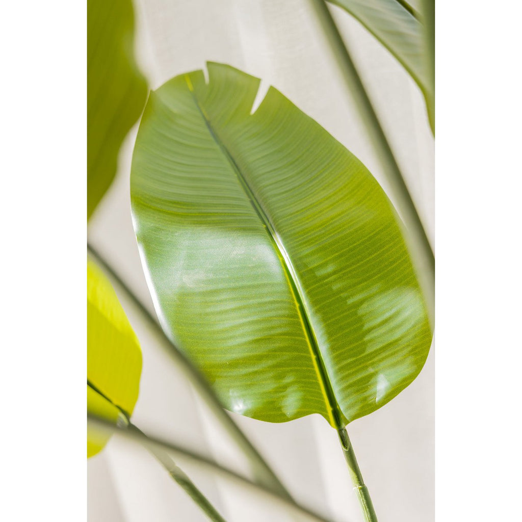 Strelitzia kunstplant 180 cm, grote kunstplant met realistische bladeren