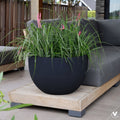 Plantenpot Louisiana Black, Fiberstone, Vase The World - 2 maten: Ø45 x H28 cm /of/ Ø60 x H38 cm
