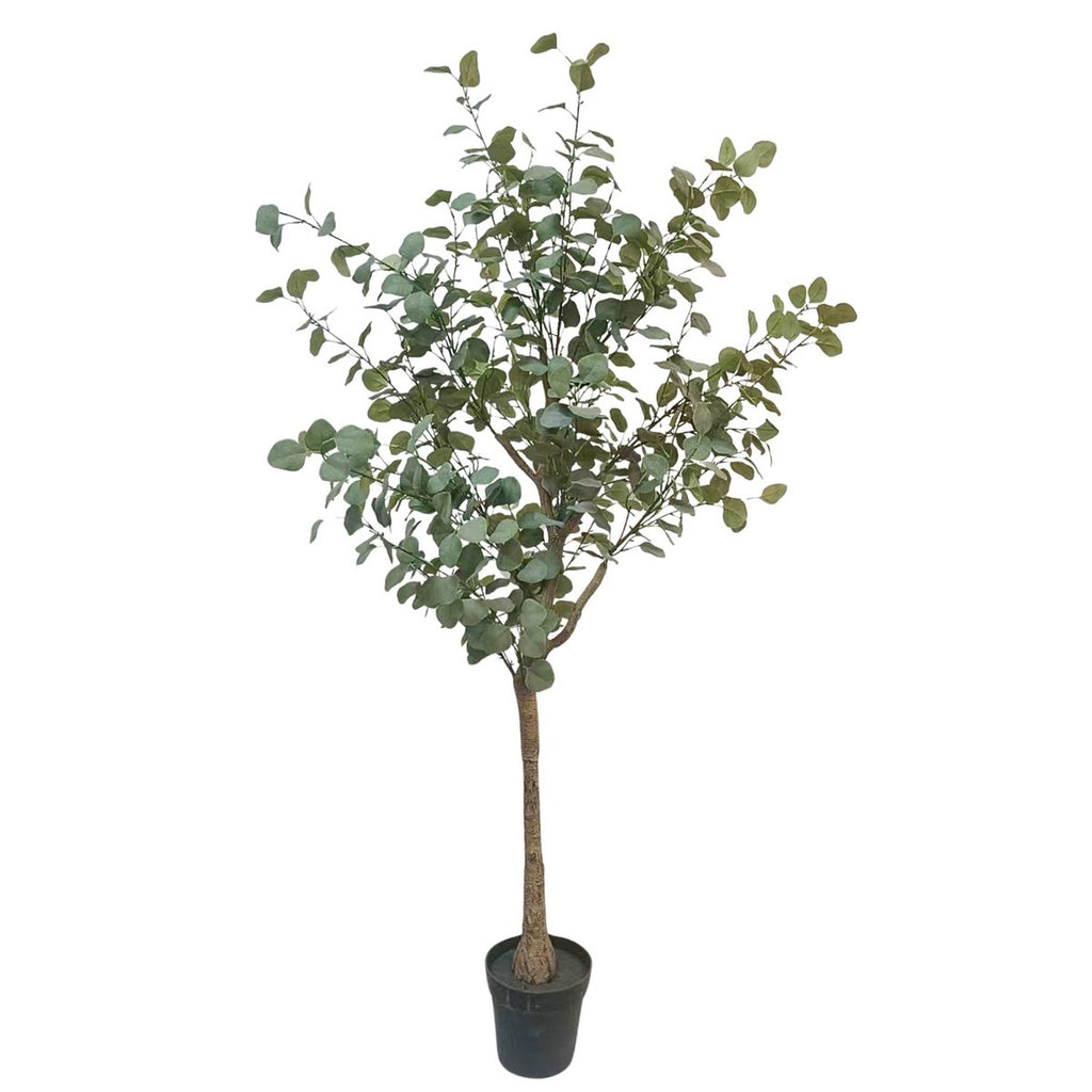 Eucalyptus Kunstboom 180 cm, Groen