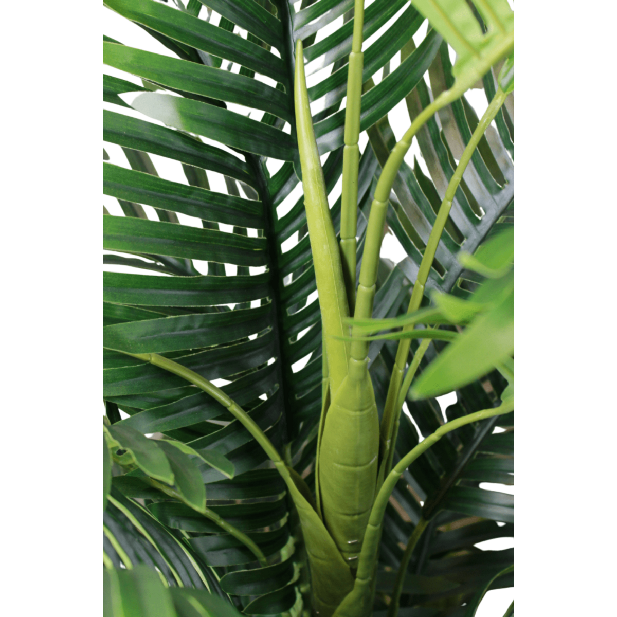 Kunstpalm 180 cm, Groen