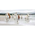 Schilderij Wilde Paarden, 40 x 80 cm