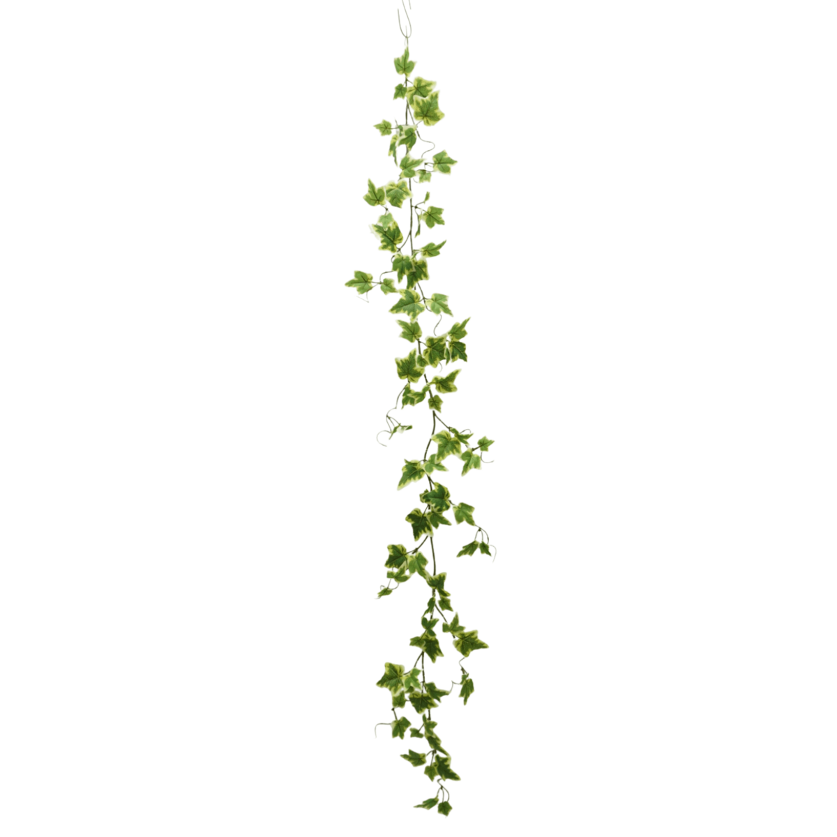 Hedera Kunstslinger 150 cm, Groen (Guirlande)