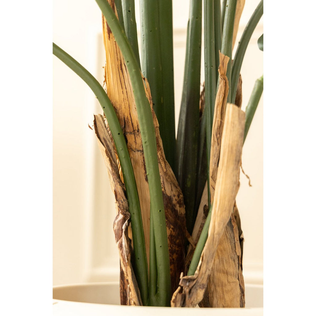 Strelitzia Kunstplant 210 cm, Groen, Extra Groot