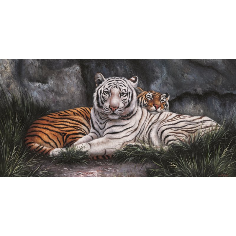 Schilderij 2 Tijgers 40 x 80 cm, In Zwarte Houten Lijst