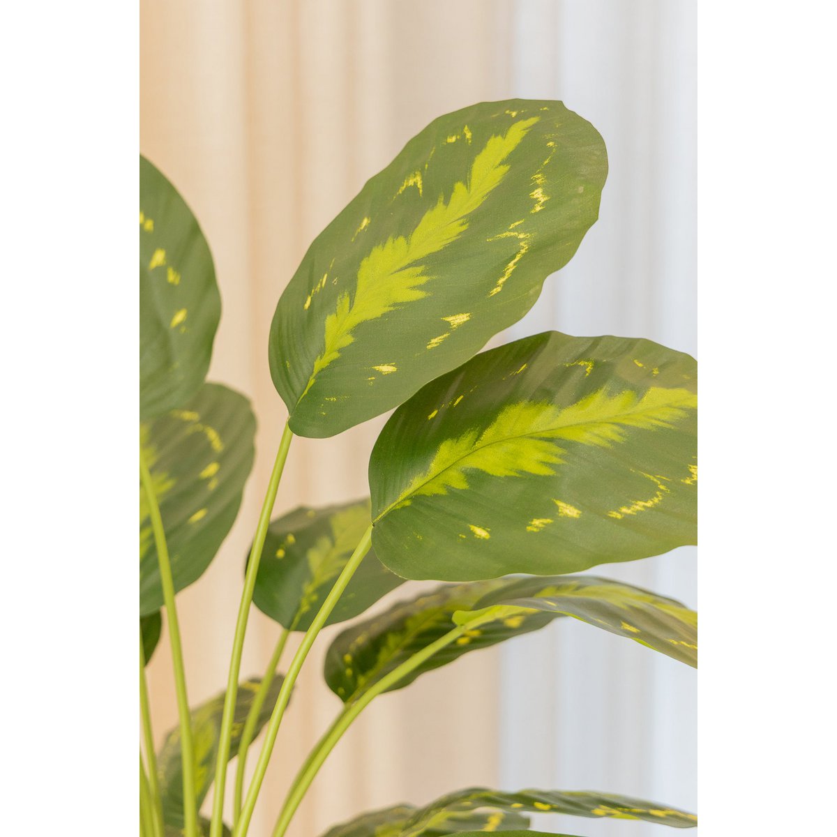 Calathea Kunstplant 70 cm, Groen