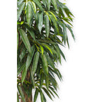 Longifolia Kunstplant 180 cm, Groen