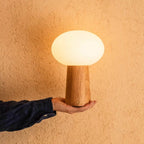 Max draadloze tafellamp lichtbruin, dimbaar, IP44, USB C oplaadbaar