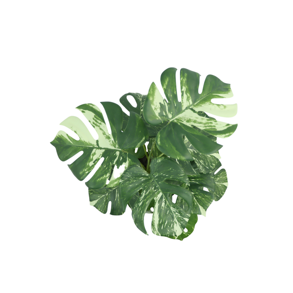 Monstera Kunstplant 40 cm, Groen