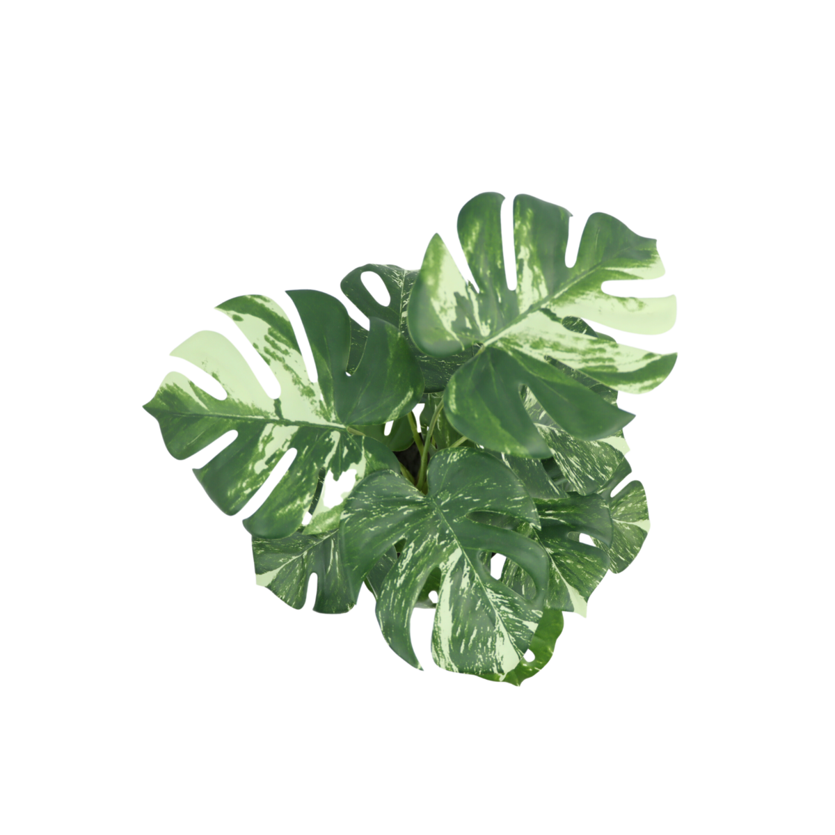 Monstera Kunstplant 40 cm, Groen