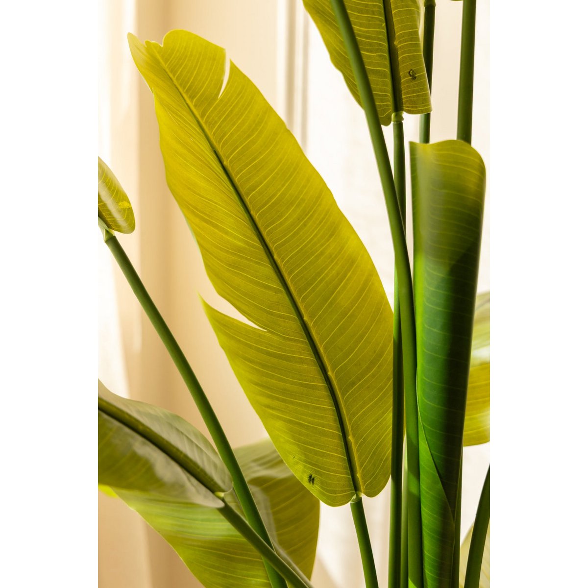 Strelitzia Kunstplant 180 cm Deluxe, Groen