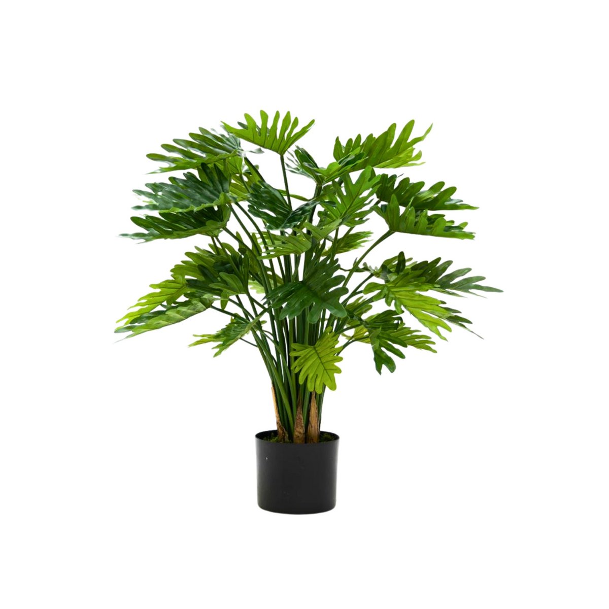 Philodendron Kunstplant 75 cm, Groen