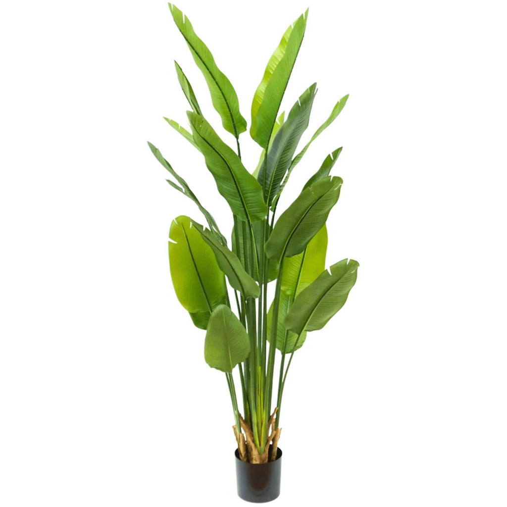 Strelitzia kunstplant 180 cm, grote kunstplant met realistische bladeren