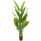 Strelitzia kunstplant 180 cm, grote kunstplant met realistische bladeren