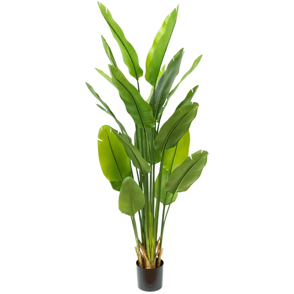 Strelitzia kunstplant 180 cm, grote kunstplant met realistische bladeren