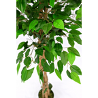 Kunst Ficus 150 cm, Groen (Ficus Benjamina)