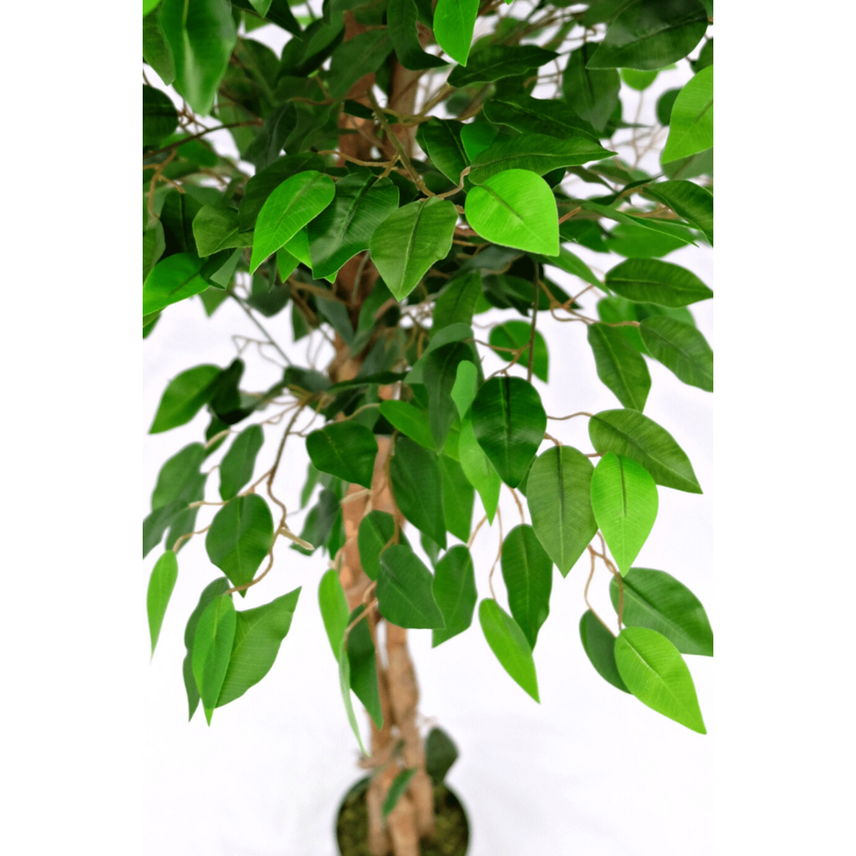 Kunst Ficus 150 cm, Groen (Ficus Benjamina)