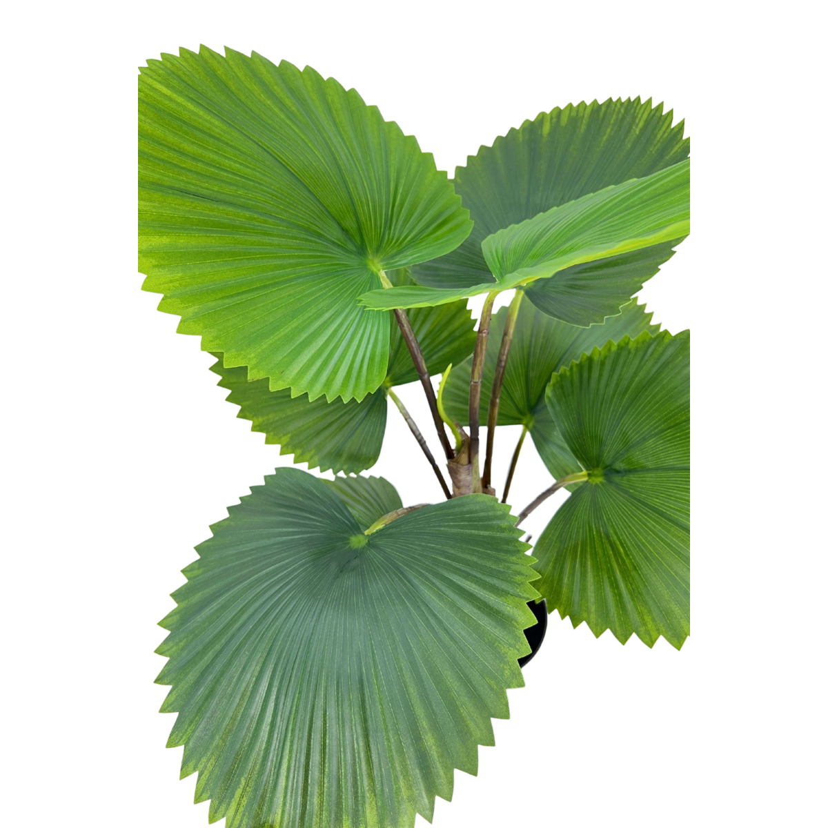 Kunst Waaierpalm 75 cm, Groen