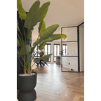 Strelitzia kunstplant 180 cm, grote kunstplant met realistische bladeren