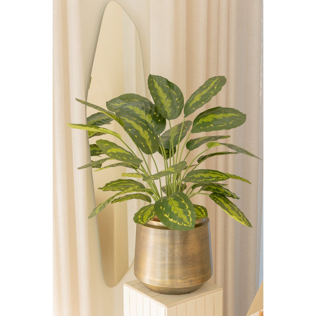 Calathea Kunstplant 70 cm, Groen