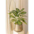 Calathea Kunstplant 70 cm, Groen
