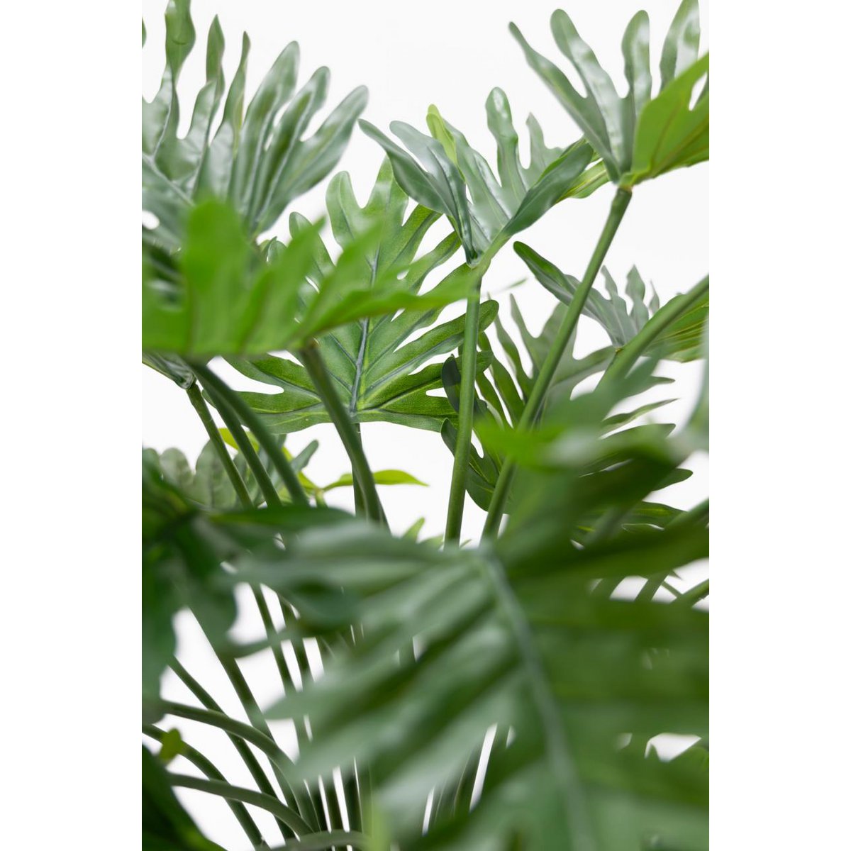 Philodendron Kunstplant 75 cm, Groen