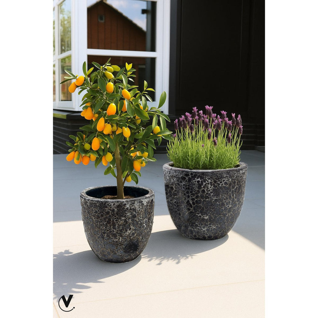 Plantenpot Laki Relic Black Set van 2, Ø36 en Ø25 cm, Vase The World