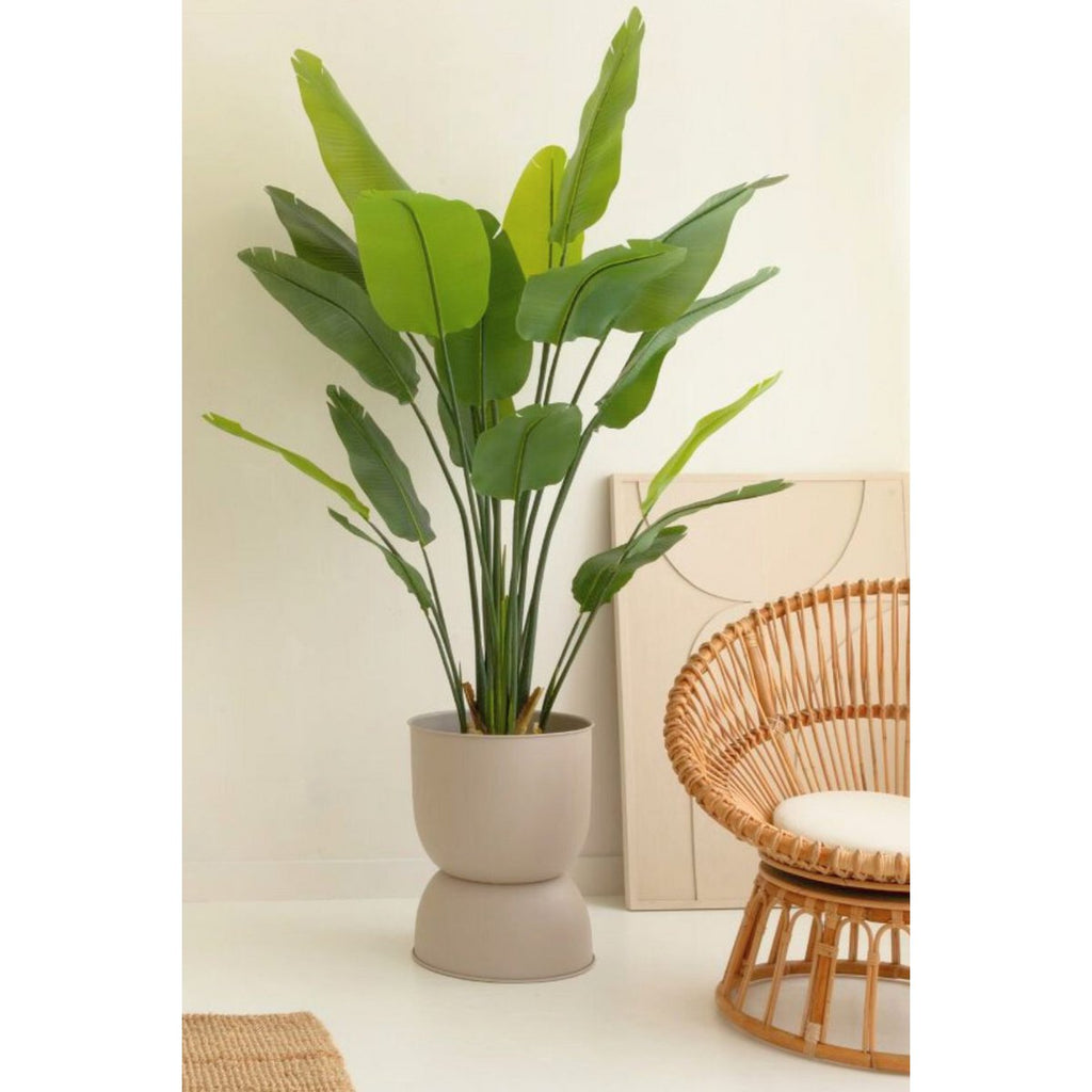 Strelitzia kunstplant 180 cm, grote kunstplant met realistische bladeren