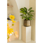 Calathea Kunstplant 70 cm, Groen