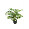 Monstera Kunstplant 75 cm, Groen