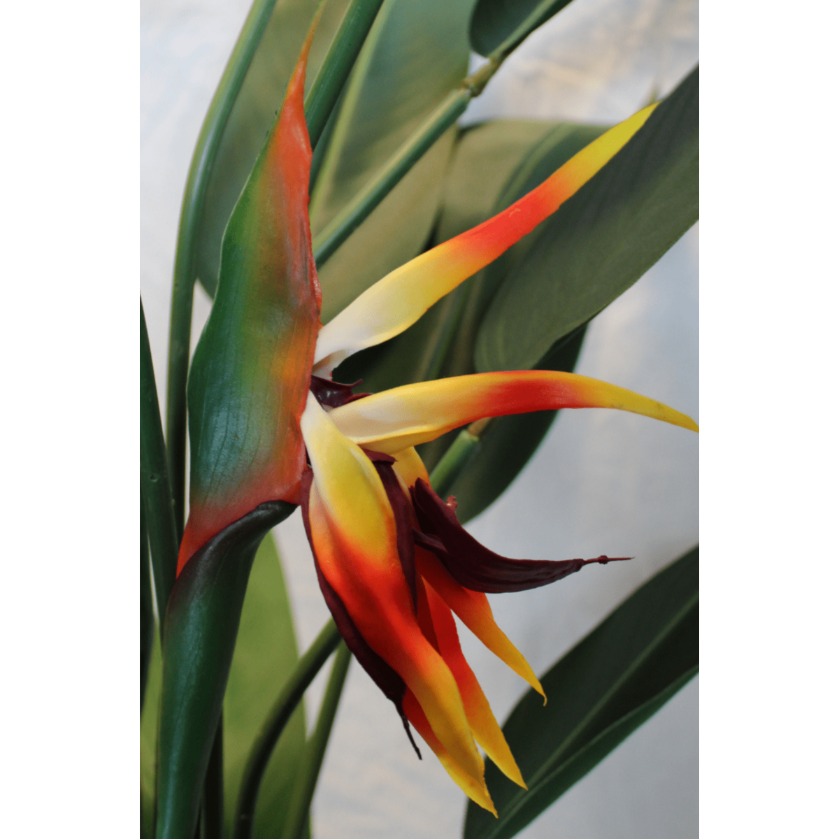 Strelitzia Kunstplant 110 cm, Met Bloem