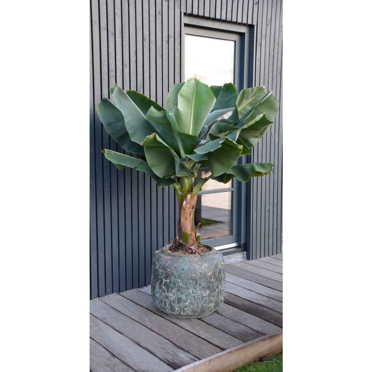 Plantenpot Arenal Relic Jade, Keramiek, Ø59 x H50 cm, Vase The World